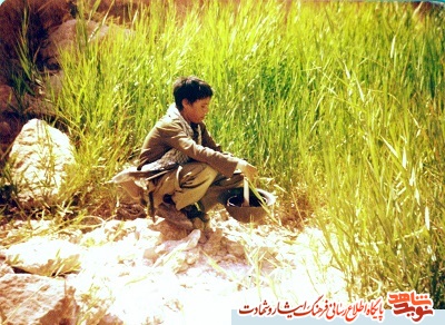 تصاویر ناب از شهید حسن جنگجو؛ فهمیده آذربایجان تصاویر ناب از شهید حسن جنگجو؛ فهمیده آذربایجان