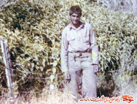 میوه ای بودم که لحظه چیده شدنم رسیده بود+صوت میوه ای بودم که لحظه چیده شدنم رسیده بود+صوت