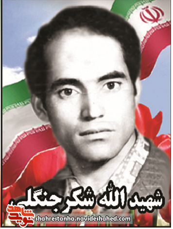 6 شهید انقلابی شهرستان قرچک