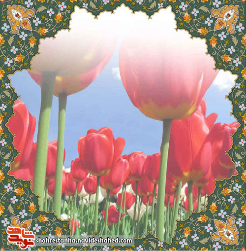ظاهر و باطن خود را یک رنگ کنید ظاهر و باطن خود را یک رنگ کنید