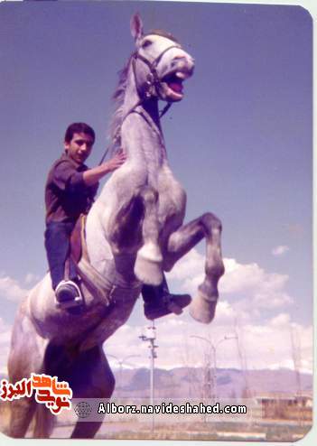 از شفا تا شهادت از شفا تا شهادت