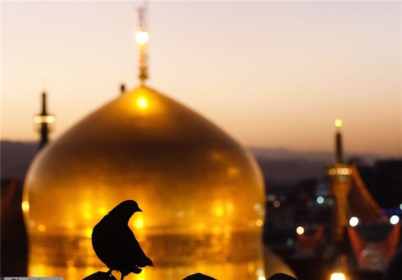 توسل به امام رضا كار خودش را كرد توسل به امام رضا كار خودش را كرد