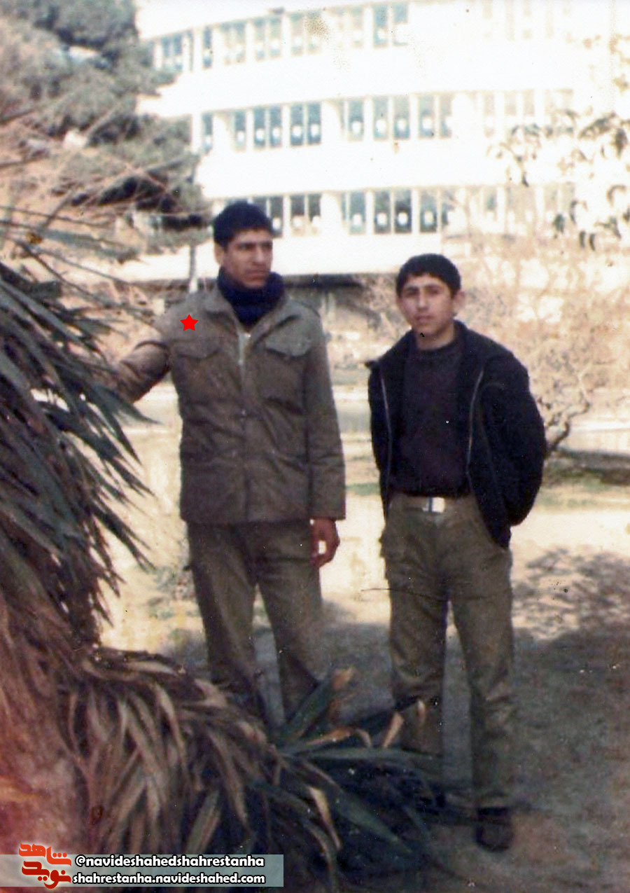 شهید