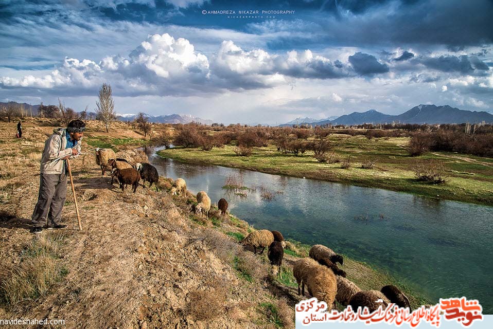 شهدای روستای شهدای روستای