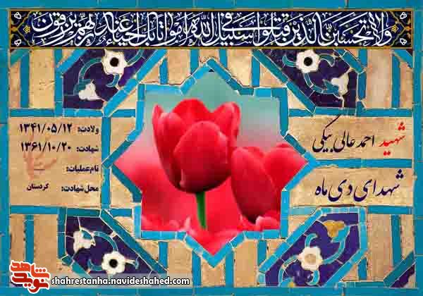 معرفی شهدای بیستم دی ماه 