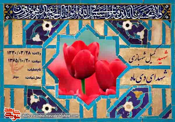 معرفی شهدای بیستم دی ماه 