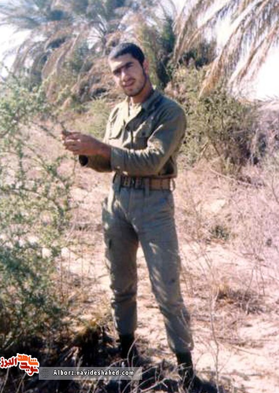 «نور باران» «نور باران»