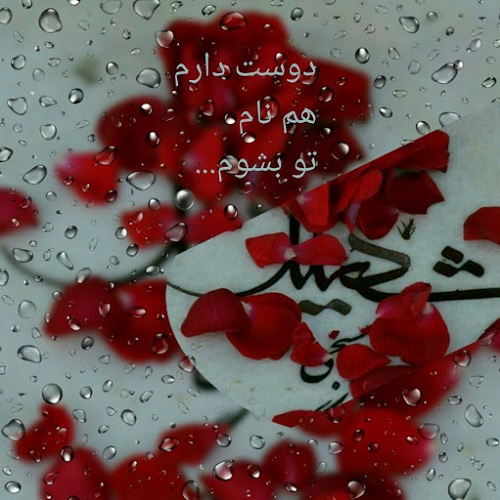 روز مباهله