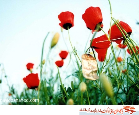 شهید جعفر قاسمی/ وابستگان شرق و غرب بدانند، هرگز نمی توانند سد راه انقلاب شوند شهید جعفر قاسمی/ وابستگان شرق و غرب بدانند، هرگز نمی توانند سد راه انقلاب شوند