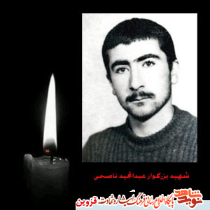 مادر شهید 