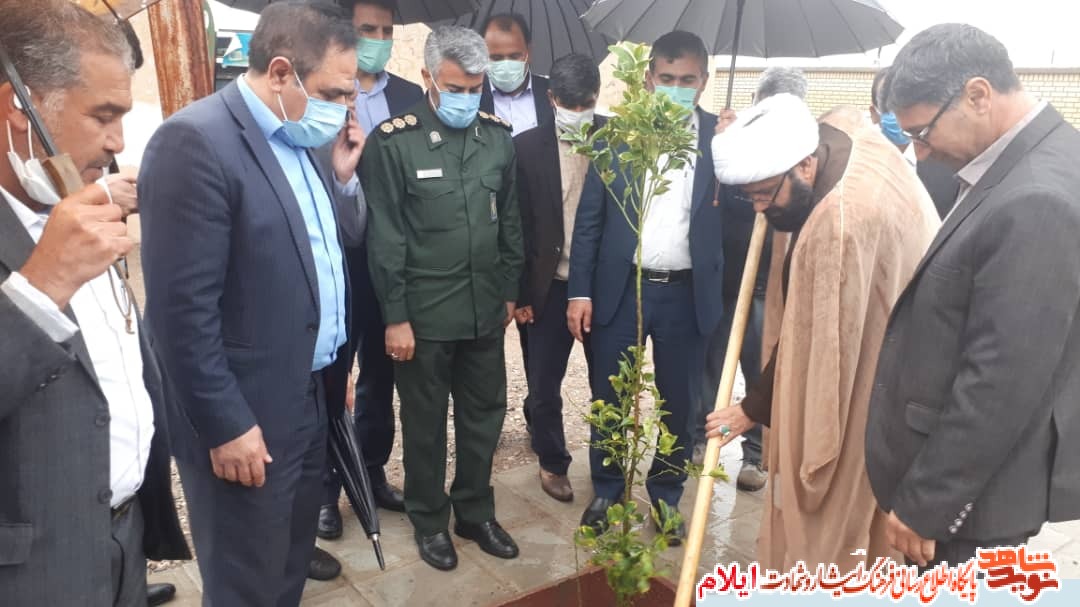 مراسم کاشت نهال به یاد شهیدان والامقام شهرستان دره شهر برگزار شد