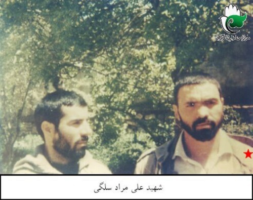 شهید شهید