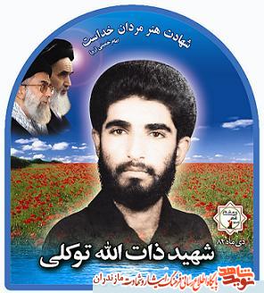 شهيد شهيد