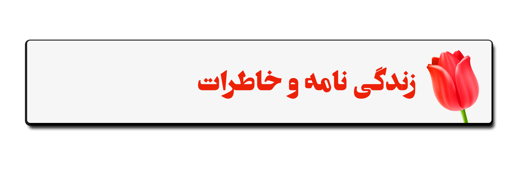 پیش نویس /// سیره صیاد دلها