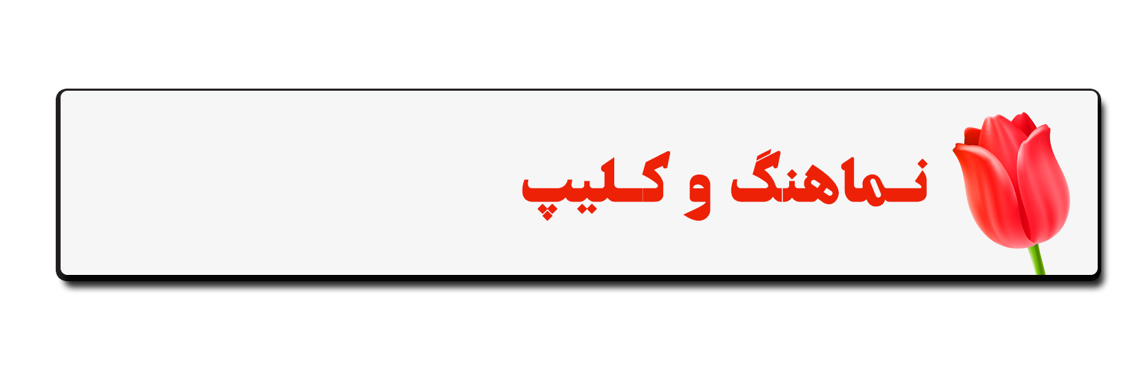 پیش نویس /// سیره صیاد دلها