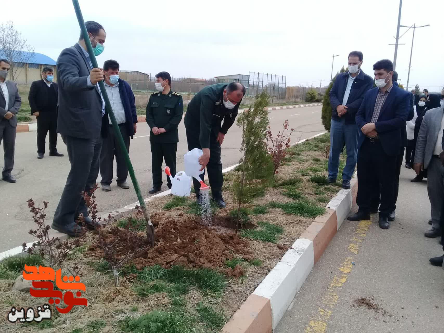 مسئولان بوئین‌زهرا به نام شهدا نهال غرس کردند