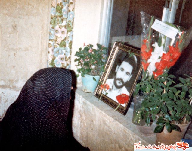 آلبوم عکس/شهید«سیف الله سیف الله زاده»