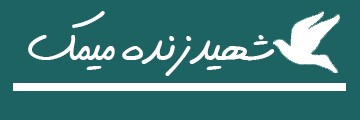 ویژه‌نامه الکترونیکی شهید «محمدعلی برجی» منتشر شد