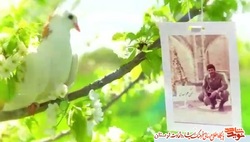 فتوکلیپ/ وصیتنامه شهید سرلشکر «مصطفی پژوهنده»