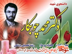 طبیب میدان