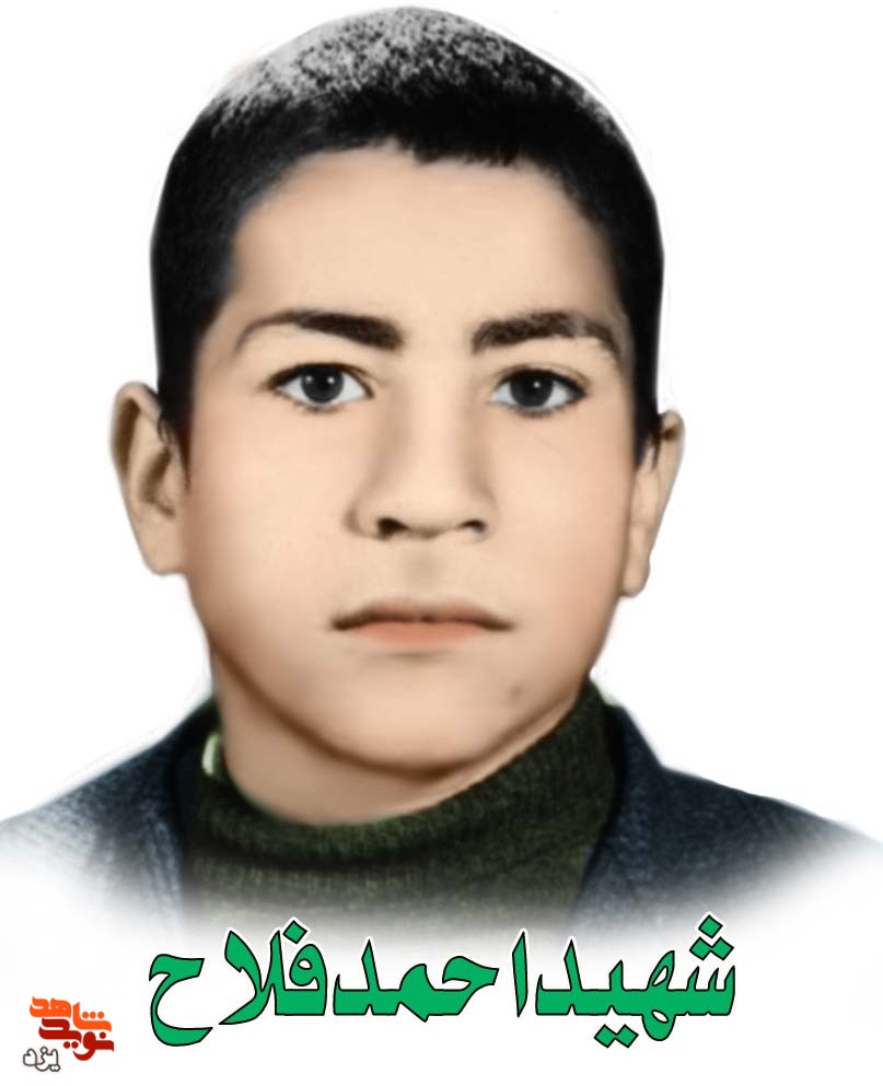 وصیت نامه