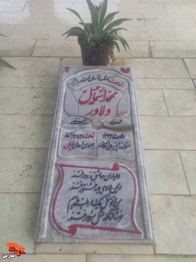 شوق به پرواز عهدی را شکست