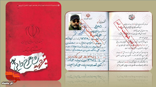 کتاب مجموعه شناسنامه شهدا جلد هفدهم | شهید «شاهرخ دایی پور»