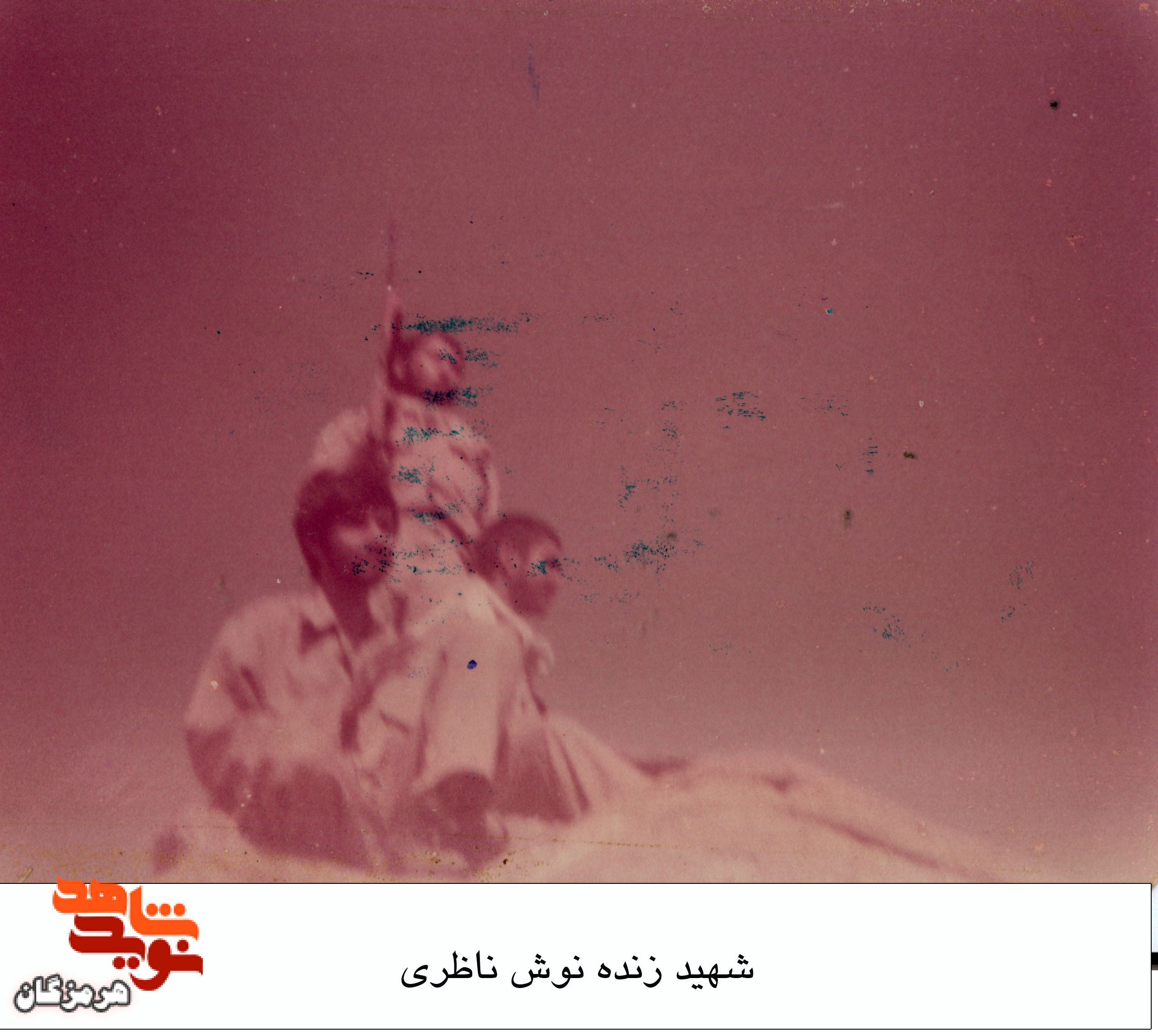 آلبوم تصاویر شهید «زنده نوش ناظری»