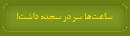 ویژه‌نامه الکترونیکی شهید «حمید سیاهکالی‌مرادی»، منتشر شد