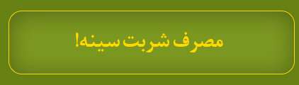 ویژه‌نامه الکترونیکی شهید «حمید سیاهکالی‌مرادی»، منتشر شد