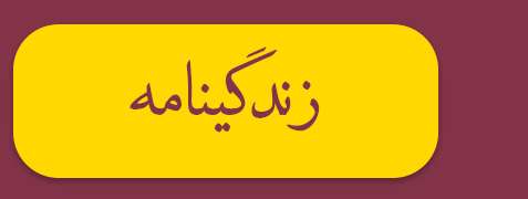 ویژه‌نامه الکترونیکی