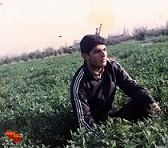شهید «نادعلی دینداری کلایی» به روایت تصویر