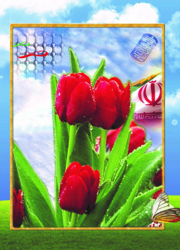 دانش آموزی که در گذراندن تعطیلات تابستانی به شهادت رسید