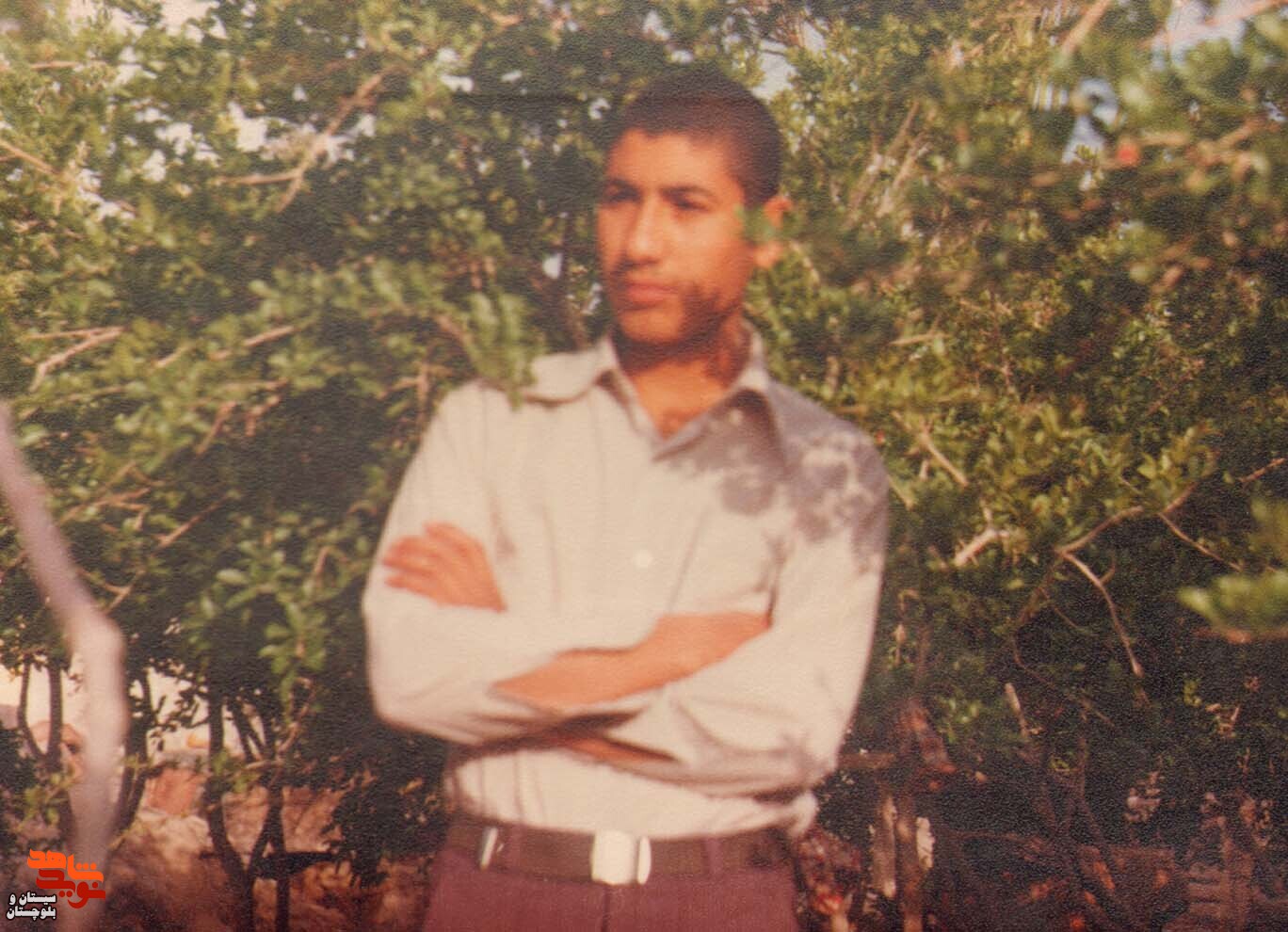 آلبوم تصاویر شهید«ماشاءالله میردادی کهن» منتشر شد