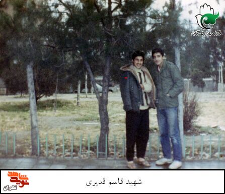شهید «قاسم قدیری» به روایت تصاویر