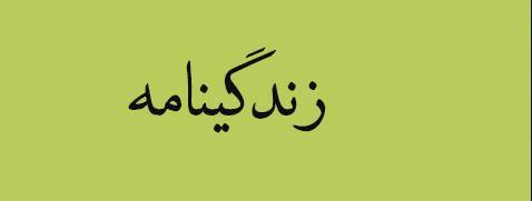 ویژه‌نامه الکترونیکی