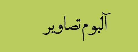ویژه‌نامه الکترونیکی
