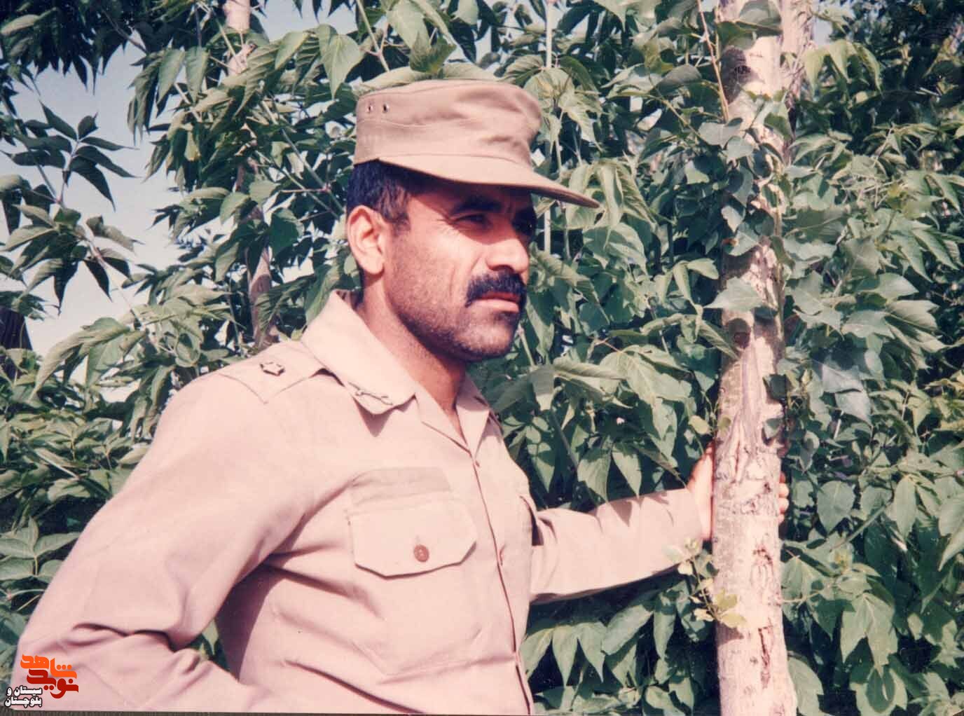 آلبوم تصاویر شهید«محمد باستانی» منتشر شد
