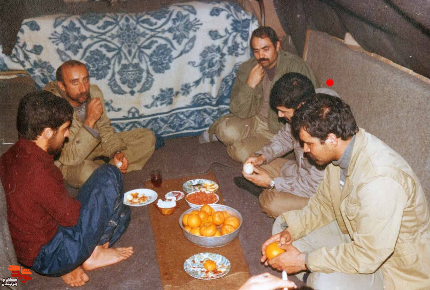 آلبوم تصاویر شهید«محمد باستانی» منتشر شد