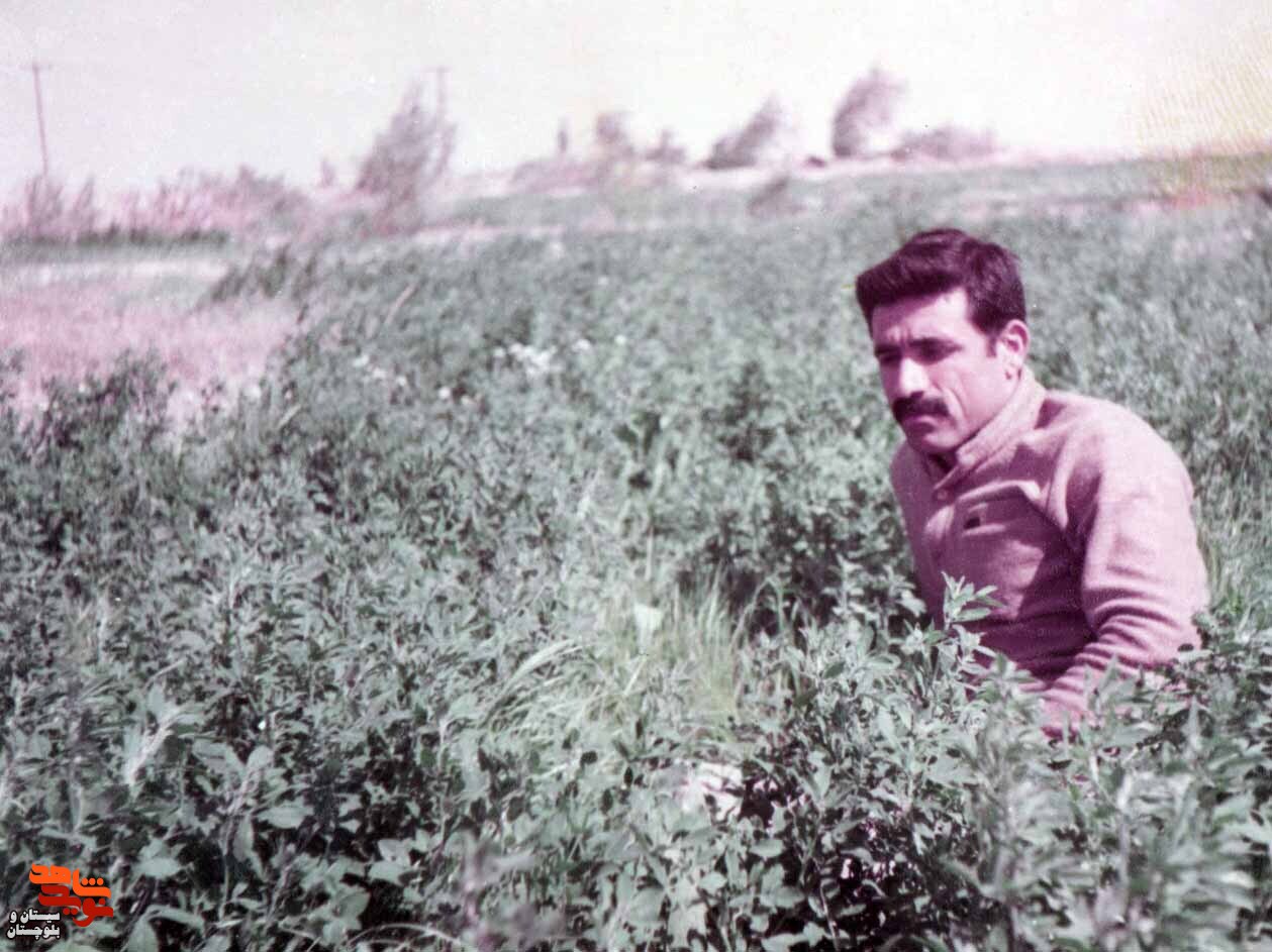 آلبوم تصاویر شهید«محمد باستانی» منتشر شد