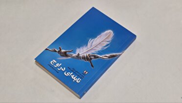 «نابغه‌ای در اوج» منتشر شد