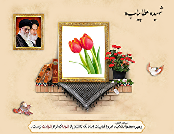 شهیدی از دیار نوریاب که پیش از انقلاب جان...