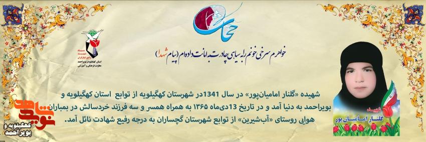 اینفوگرافیک/شهیده گل نار امامیان پور