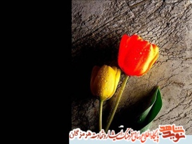 برای شادی روح شهدایی که تصاویرشان نیست صلوات می فرستیم