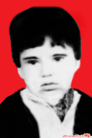 شهید صادق برجی