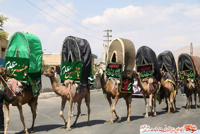 امیررضا غلامیان از دره شهر