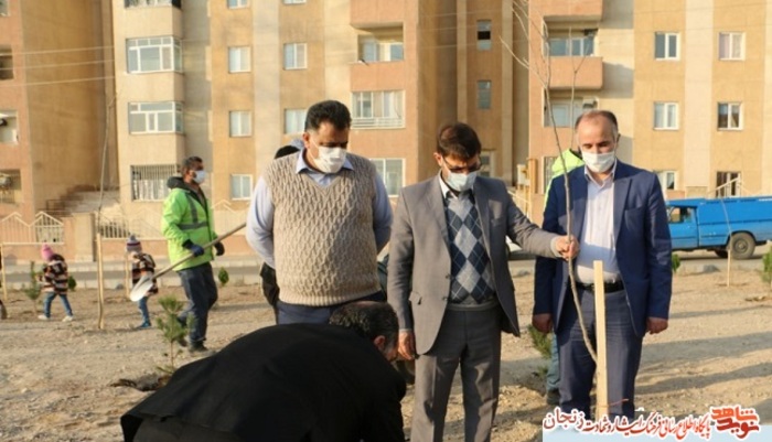 غرس نهال به یاد شهدا در زنجان