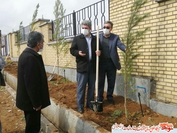 غرس نهال به یاد شهدا در ابهر