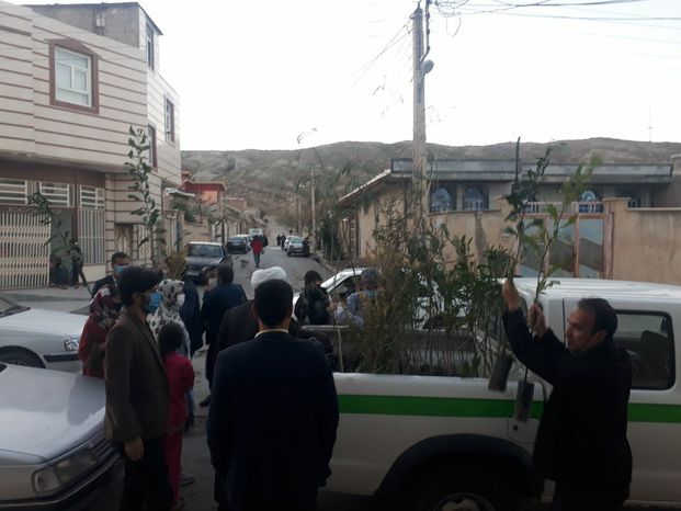 هر منزل یک نهال یک شهید