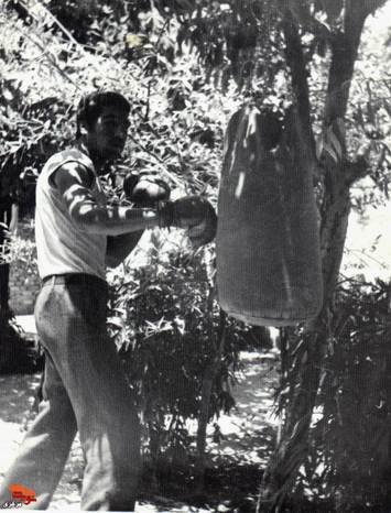 شهید حسن برکوک تبار